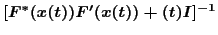 $[F^{\pr*}(x(t))F'(x(t))+\ep(t) I]^{-1}$