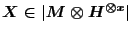 $X\in \vert M\otimes H^{\otimes x}\vert$