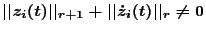 $\vert\vert z_i(t)\vert\vert _{r+1} + \vert\vert\dot z_i(t)\vert\vert _r \neq 0$