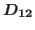 $D_{12}$