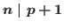 $n\mid p+1$