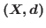 $(X,d)$