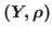 $(Y,\rho)$