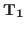 $\mathrm{T}_{1}$