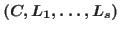 $(C,L_1,\dots ,L_s)$